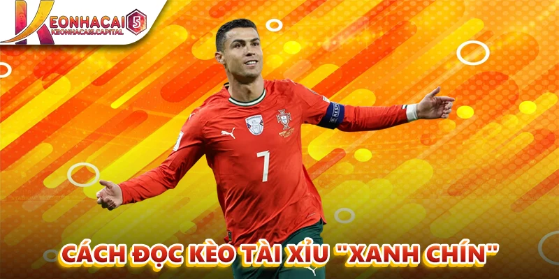 Cách Đọc Kèo Tài Xỉu "Xanh Chín"