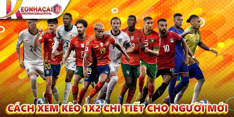 Kèo 1x2 Là gì? Và cách đọc kèo chi tiết cho người mới